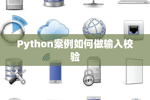 Python案例如何做输入校验
