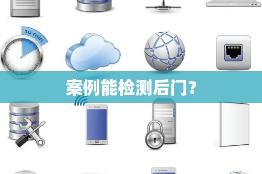 案例能检测后门？