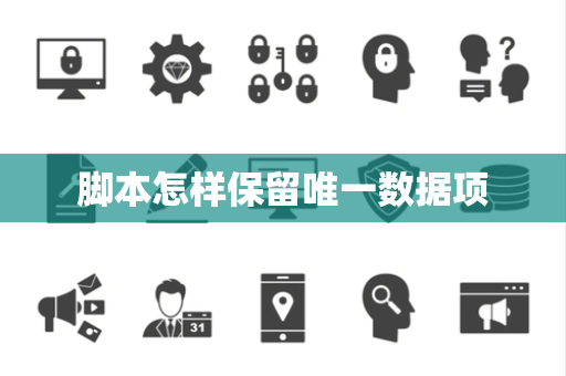 脚本怎样保留唯一数据项 脚本怎样保留唯一数据项