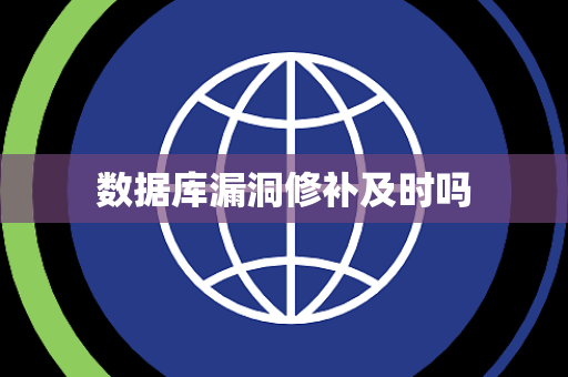数据库漏洞修补及时吗 数据库漏洞修补及时吗