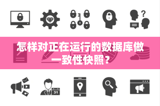 怎样对正在运行的数据库做一致性快照? 怎样对正在运行的数据库做一致性快照?