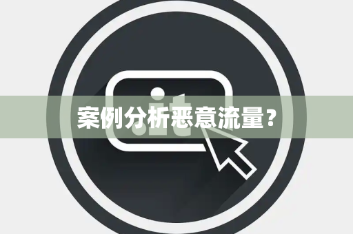 案例分析恶意流量？
