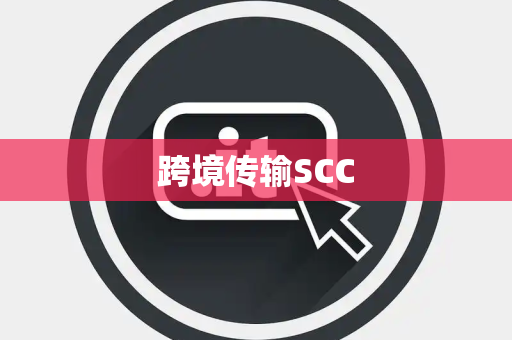 跨境传输SCC 跨境传输SCC