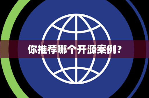 你推荐哪个开源案例？