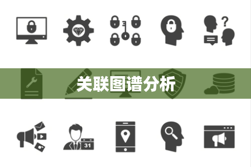 关联图谱分析 关联图谱分析
