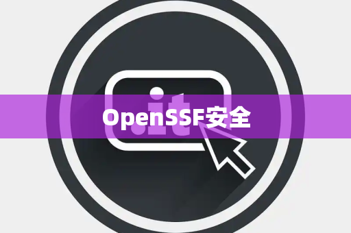 OpenSSF安全 OpenSSF安全