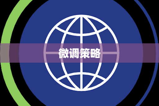 微调策略 微调策略