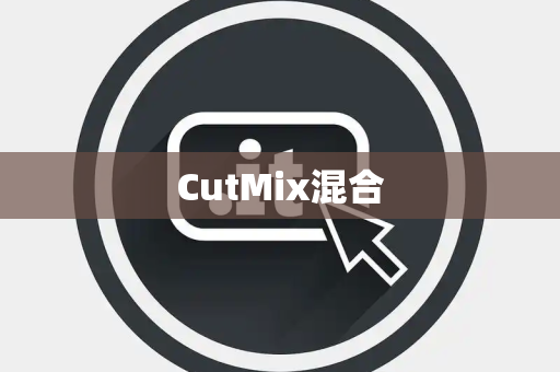 CutMix混合 CutMix混合