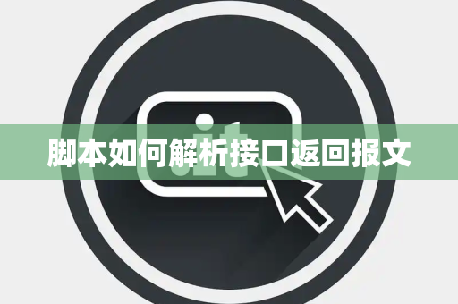 脚本如何解析接口返回报文