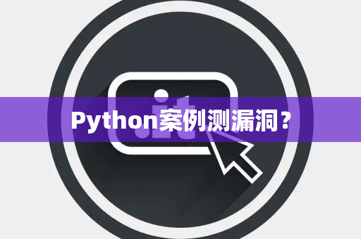 Python案例测漏洞？