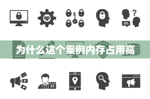 为什么这个案例内存占用高