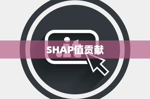 SHAP值贡献 SHAP值贡献