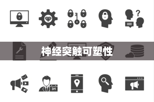 神经突触可塑性 神经突触可塑性