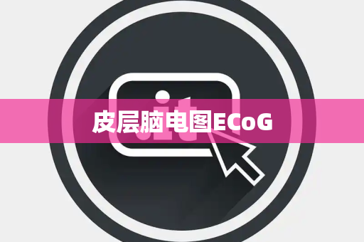 皮层脑电图ECoG 皮层脑电图ECoG