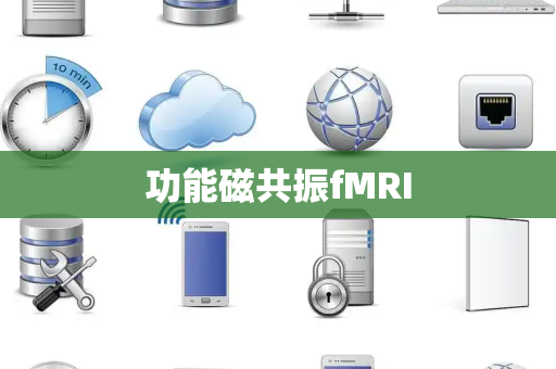 功能磁共振fMRI 功能磁共振fMRI