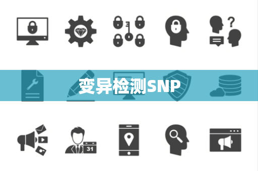 变异检测SNP 变异检测SNP