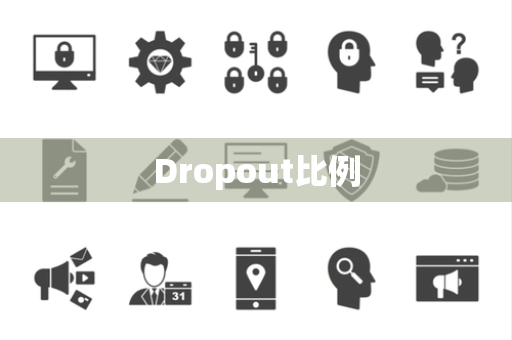 Dropout比例 Dropout比例