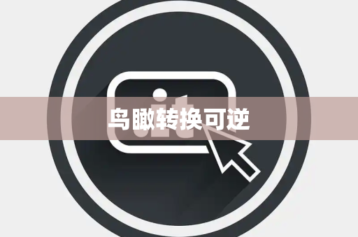鸟瞰转换可逆 鸟瞰转换可逆
