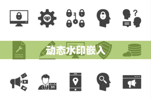 动态水印嵌入 动态水印嵌入