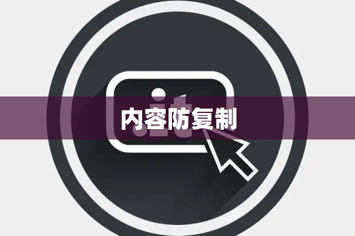 内容防复制 内容防复制