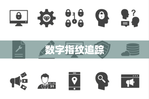 数字指纹追踪 数字指纹追踪