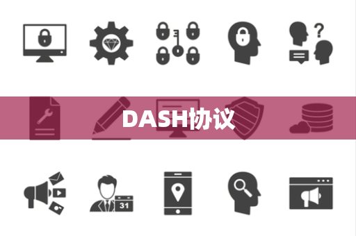 DASH协议 DASH协议