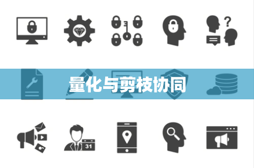 量化与剪枝协同 量化与剪枝协同