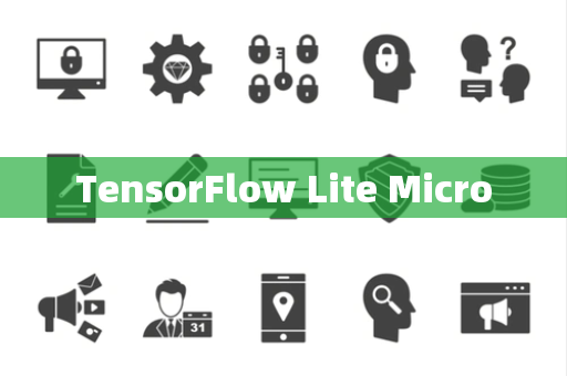 TensorFlow Lite Micro TensorFlow Lite Micro