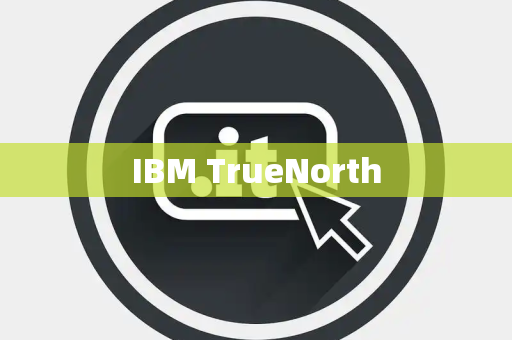 IBM TrueNorth IBM TrueNorth