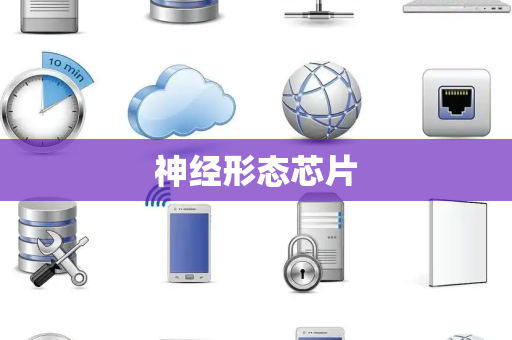 神经形态芯片 神经形态芯片