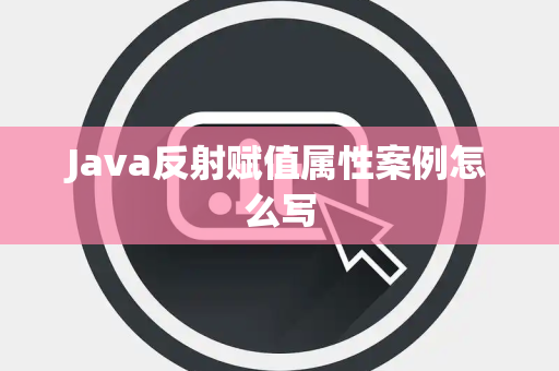 Java反射赋值属性案例怎么写 Java反射赋值属性案例怎么写