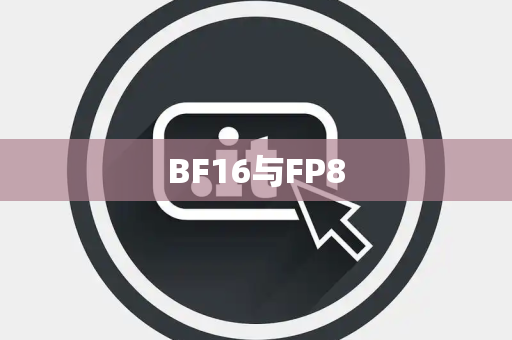 BF16与FP8 BF16与FP8
