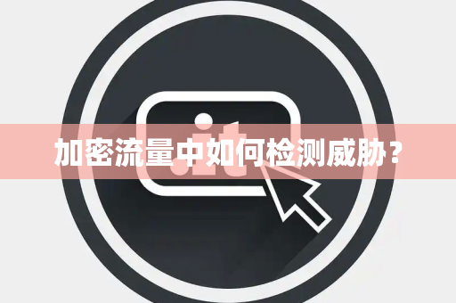 加密流量中如何检测威胁？