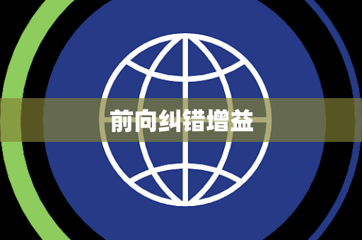 前向纠错增益 前向纠错增益