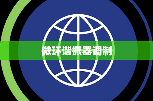 微环谐振器调制 微环谐振器调制