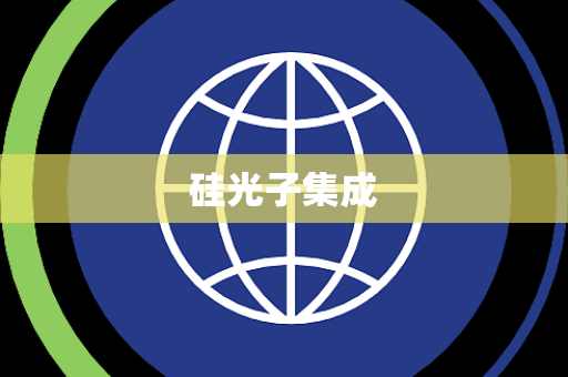 硅光子集成 硅光子集成
