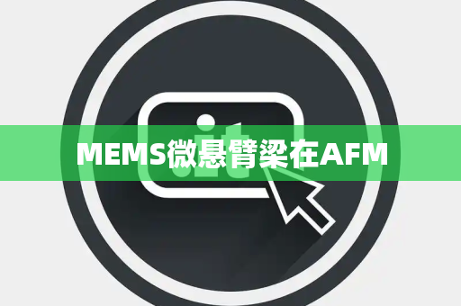 MEMS微悬臂梁在AFM MEMS微悬臂梁在AFM