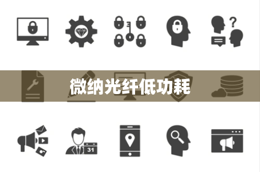 微纳光纤低功耗 微纳光纤低功耗