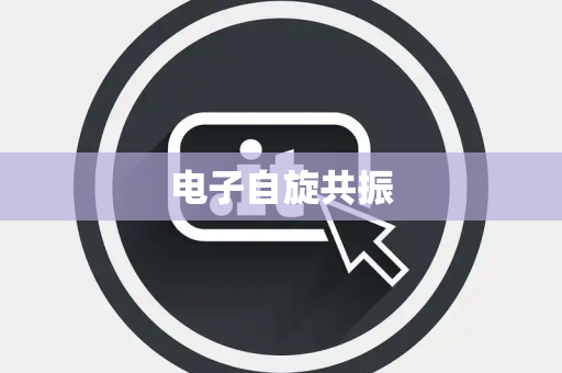 电子自旋共振 电子自旋共振