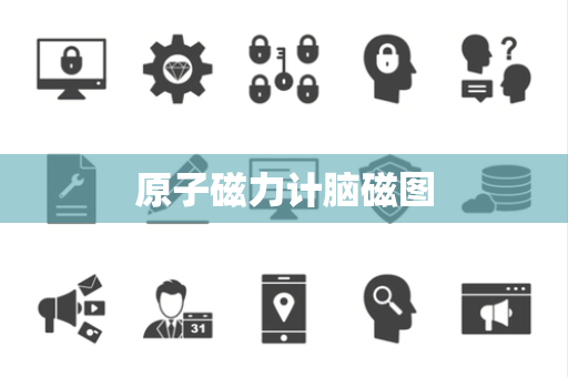 原子磁力计脑磁图 原子磁力计脑磁图