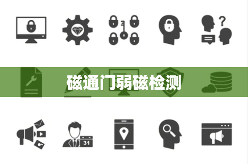 磁通门弱磁检测 磁通门弱磁检测