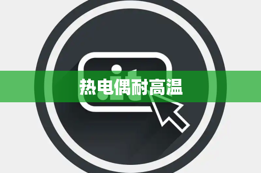 热电偶耐高温 热电偶耐高温