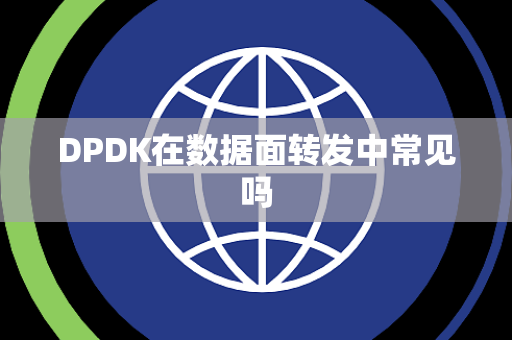 DPDK在数据面转发中常见吗 DPDK在数据面转发中常见吗