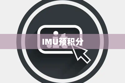 IMU预积分 IMU预积分