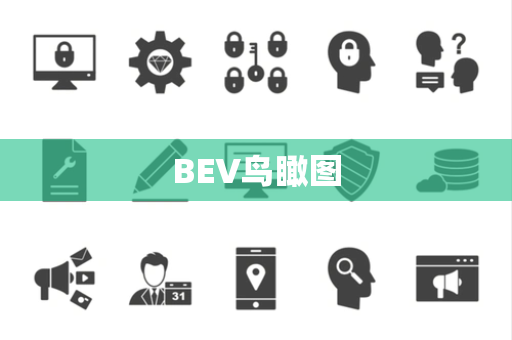 BEV鸟瞰图 BEV鸟瞰图