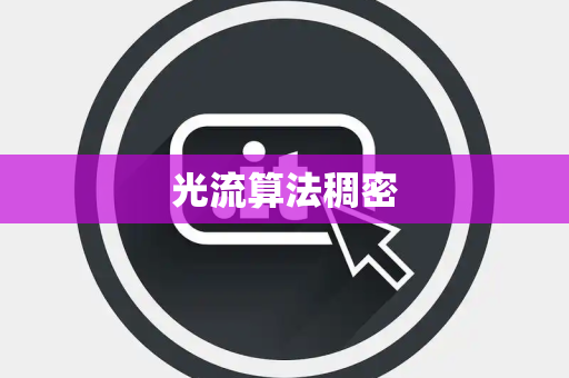 光流算法稠密 光流算法稠密