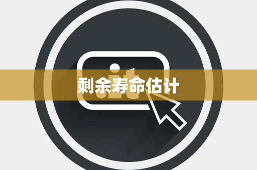 剩余寿命估计 剩余寿命估计