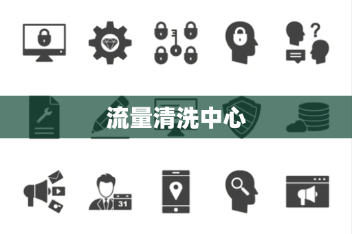 流量清洗中心 流量清洗中心