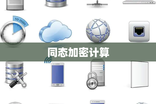 同态加密计算 同态加密计算