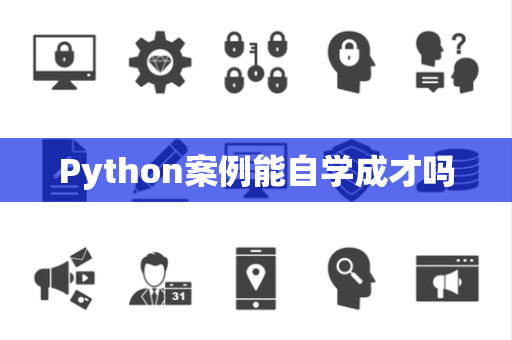 Python案例能自学成才吗